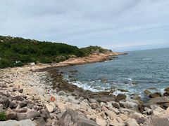 -广东惠东海龟国家级自然保护区