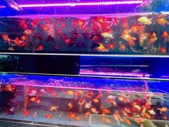 -双季花艺园艺市场(浦东店)