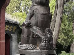 -关林