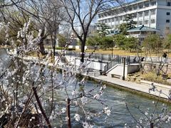 -南长河公园