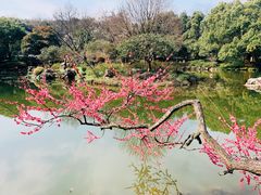 -杭州植物园