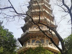 -灵谷景区