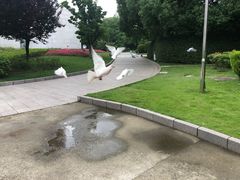 -宋庆龄陵园