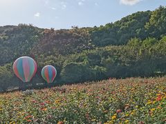 -苏州上方山国家森林公园