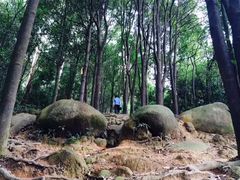 -火炉山森林公园