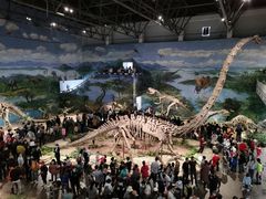 -自贡恐龙博物馆