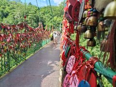 -西双版纳原始森林公园