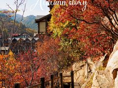 -九如山休闲旅游度假区