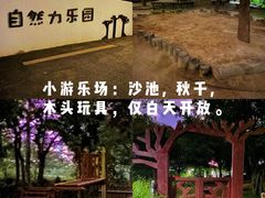 -福田红树林生态公园
