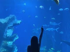 -多彩贵州城极地海洋世界
