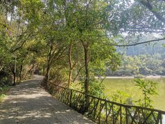 -水濂山森林公园