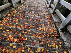 -洛阳白云山景区