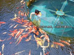 -昆明青龙峡风景区