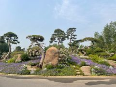 -罗红摄影艺术馆