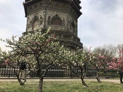 -玲珑塔公园