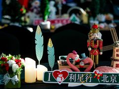 -奔驰利星行(北京花乡店)