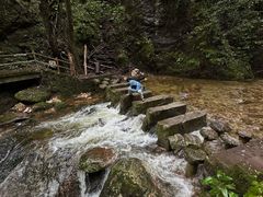 -牛背梁国家森林公园