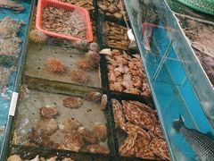 -小铜锣湾海鲜家常菜馆(河西店)