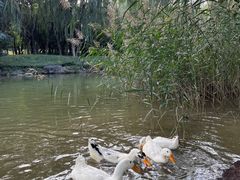 -唐城墙遗址公园