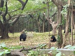 -广州长隆野生动物世界