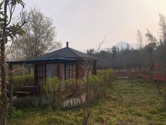 -灵山莲花公园-温泉度假区