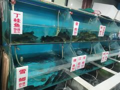 -高坎一品甲鱼庄(两河店)