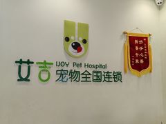 -艾吉宠物医院·疑难杂症转诊中心·猫友好(碧江路院)