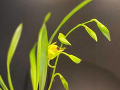 -北京植物园-展览温室