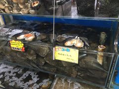 -蚝专家(北滘店)
