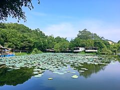-老木棉·匠园