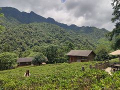 -姑婆山旅游区