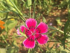 iphone_upload_pic-永定河休闲森林公园