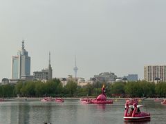 -莲花池公园