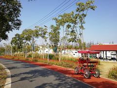 -上海长兴岛郊野公园