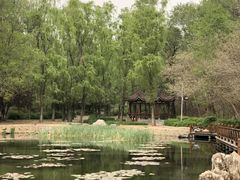 -云岗森林公园