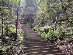 -缙云山景区