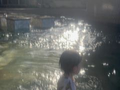 -徂徕山森林康养度假谷温泉