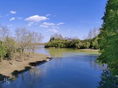 -上海海湾国家森林公园