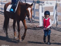 -月河湾马术俱乐部(朝阳店)