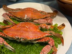 -大连湾旭日·家宴·海肠捞饭(马栏广场店)