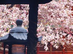 -潭柘寺景区
