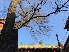 -店头古堡