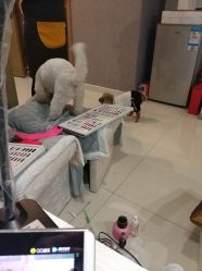 点击看大图 -Hands Nail专业美甲美睫