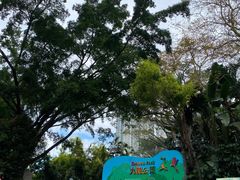 -九龙公园