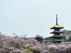 -东湖生态旅游风景区