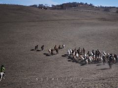 -塞罕坝国家级自然保护区