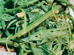 -兰溪小馆(东直门簋街店)