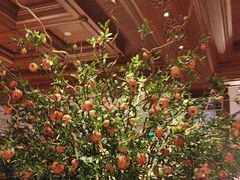 -八府香鸭·啫啫煲(华山路店)