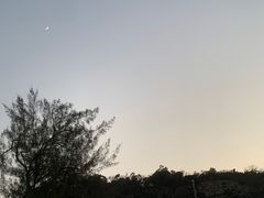 -南丫岛