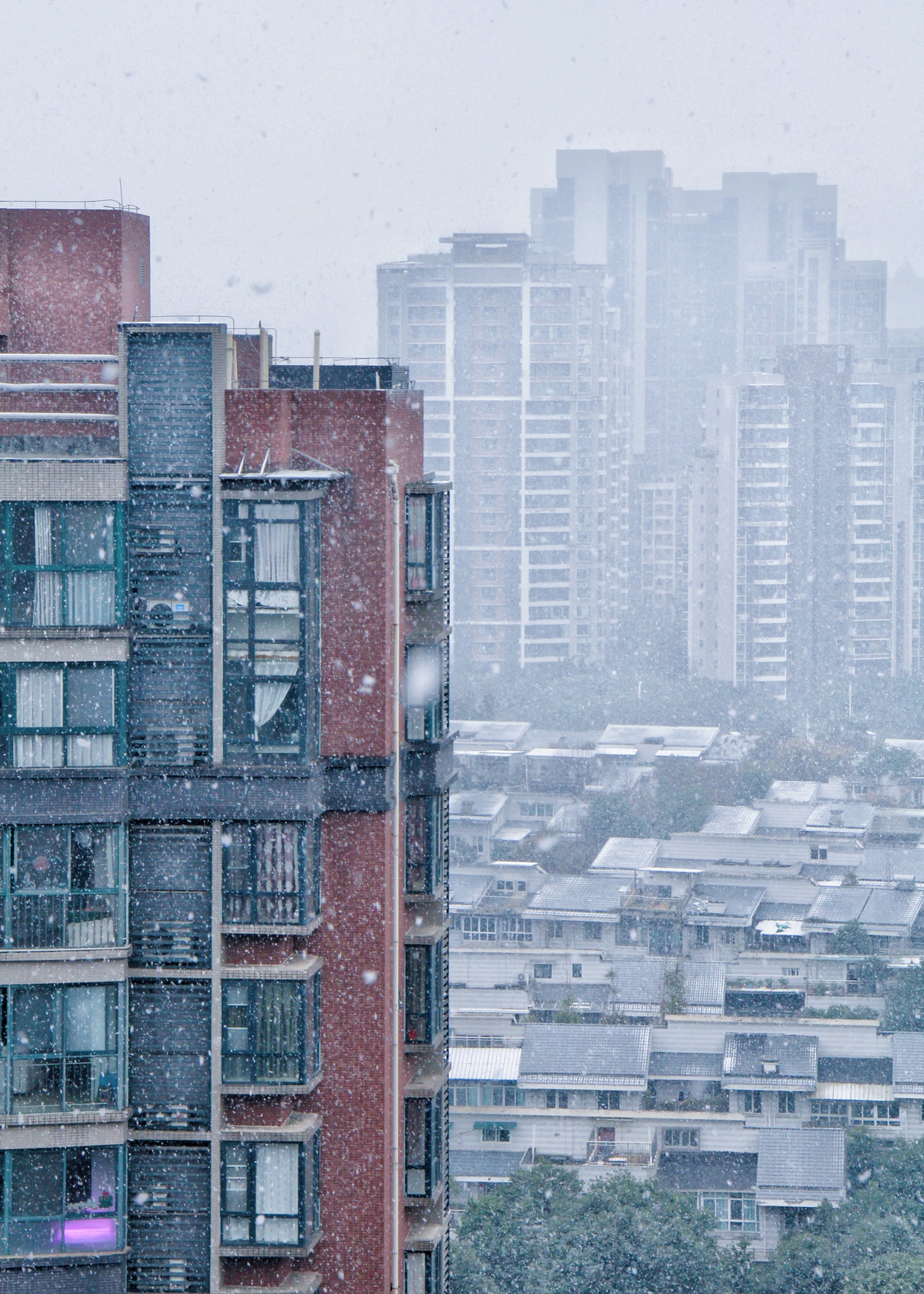 看窗外雪花飘飘图片图片